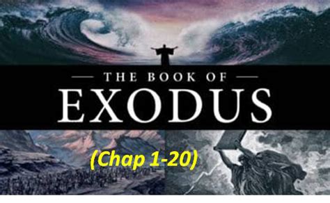 he has hurled into the sea. . Exodus niv